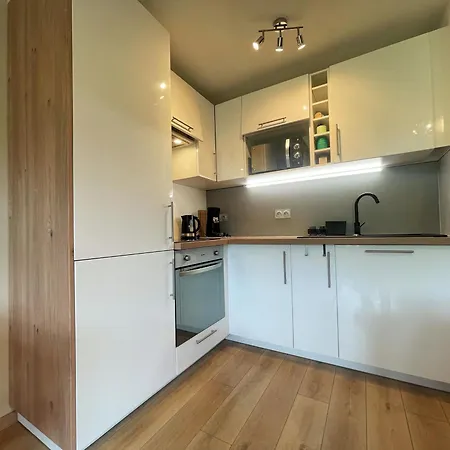 Appartement Rénové Avec Balcon, Proche Centre Samoëns, Parking, Wifi - Fr-1-624-159